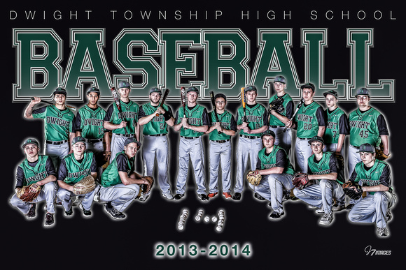 2014 - DTHS - Baseball - Varsity