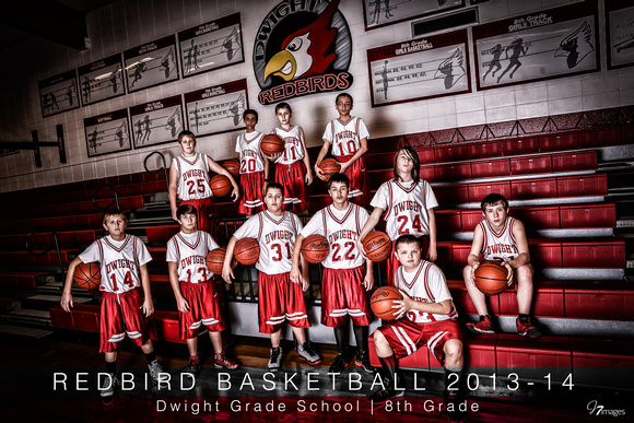 2013-2014 - DGS - 8th Grade Boys Basketball