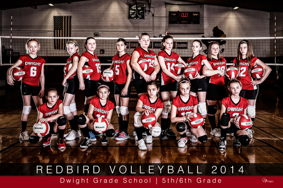 2014 - DGS - 6th Grade Volleyball