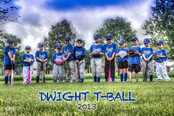2013 - DYB - T-Ball Blue Team