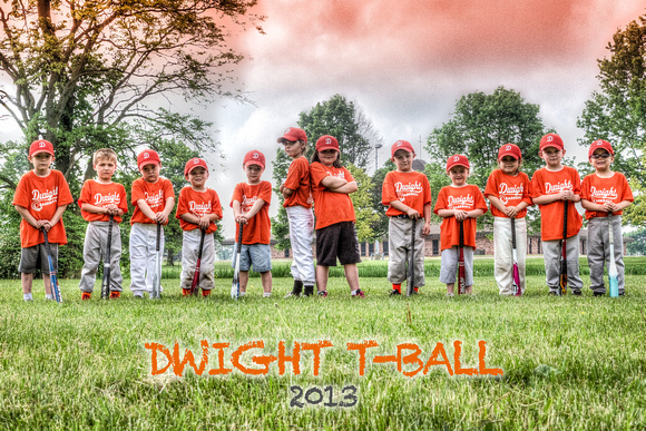 2013 - DYB - T-Ball Orange Team