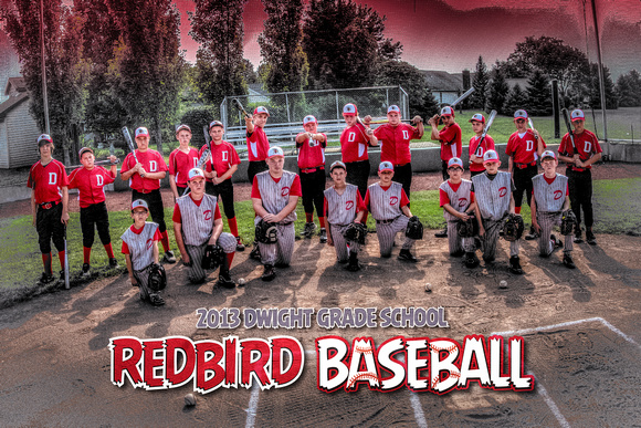 2013 - DGS - Redbird Baseball