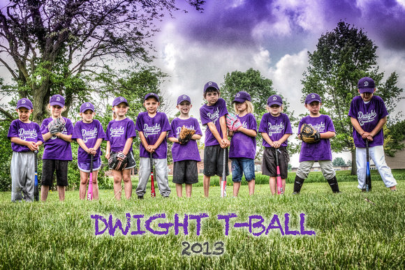 2013 - DYB - T-Ball Purple Team