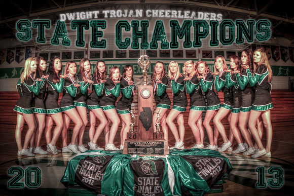 2013 - DTHS - State Championship Cheerleader Poster