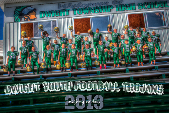 2013 - DYF - Mighty Mites - Dwight Youth Football