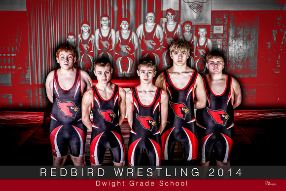 2014 - DGS - 8th Grade Redbird Wrestling
