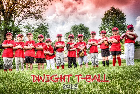 2013 - DYB - T-Ball Red Team