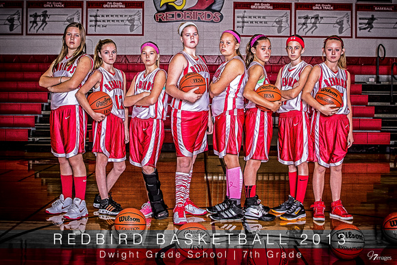 2013 - DGS - 7th Grade Girls Basketball