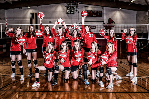 2014 - DGS - 8th Grade Volleyball B Side