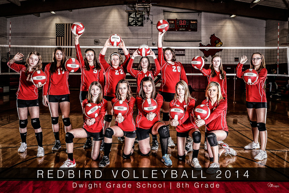 2014 - DGS - 8th Grade Volleyball